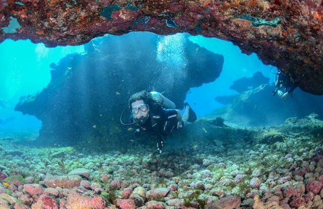 Plongée sous-marine