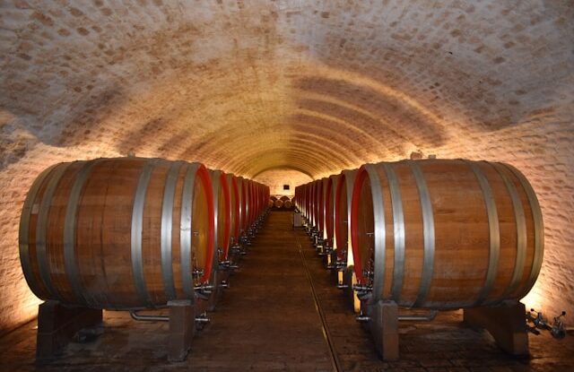 Caves à vin à Toulouse