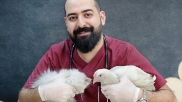 Les médecines pour les animaux