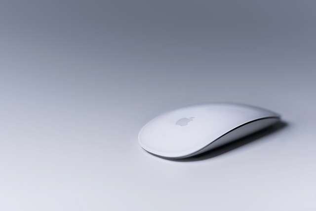 Pourquoi choisir une souris ergonomique pour préserver votre santé au travail